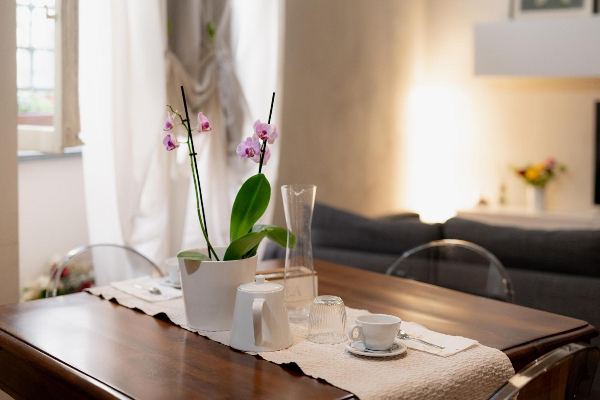 La Casa Di Cristina Apartment Лука Екстериор снимка